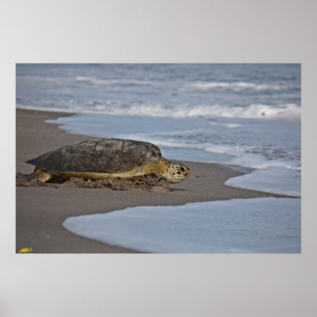 ZUHAUSE II POSTER (Vorne)