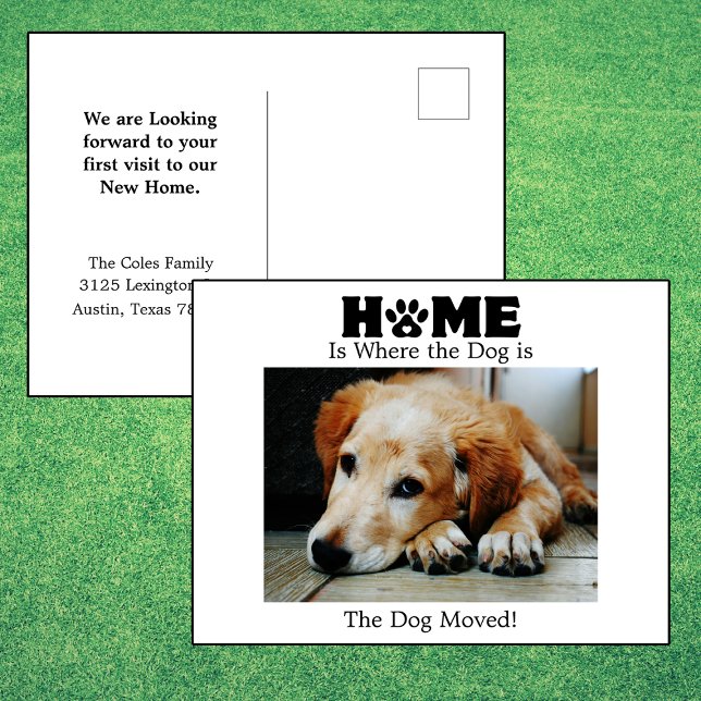 Zuhause is Where to Dog is Moving Announcement Postkarte (Von Creator hochgeladen)