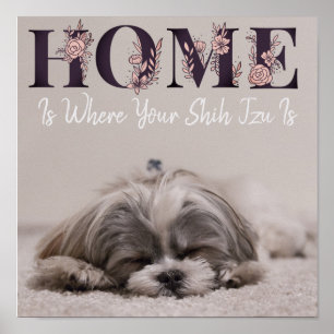 Zuhause ist dort, wo dein Shih Tzu ist Poster