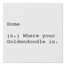 Zuhause ist, wo Ihr Goldendoodle ist
