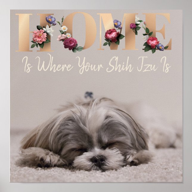 Zuhause ist, wo Ihr Shih Tzu ist Poster (Vorne)