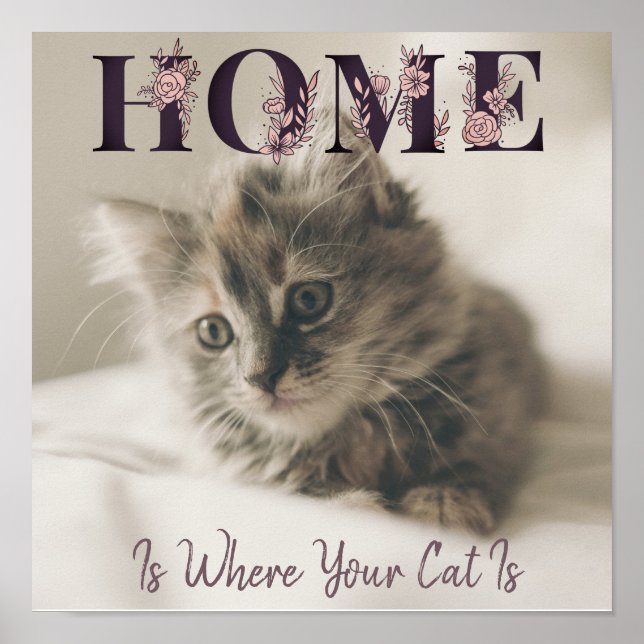 Zuhause ist, wo Ihre Katze ist Poster (Vorne)