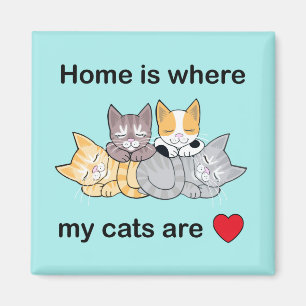 Zuhause ist, wo meine Katzen türkis sind Magnet