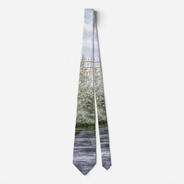 Zuhause Neck Tie Krawatte (Vorderseite)