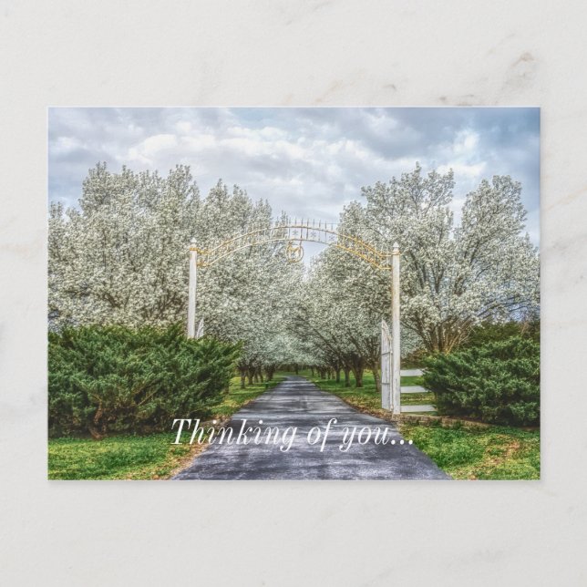 Zuhause über das Frühjahrslaufwerk Postkarte (Vorderseite)