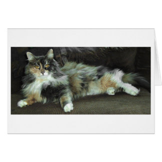 Zuhause von der Jagd, zum Abendessen Gewartet