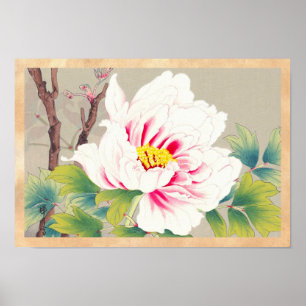 Zuigetsu Ikeda Pink Camellia japanische Blume Art Poster