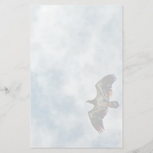 Zukünftige Möglichkeiten Briefpapier (Vorderseite)