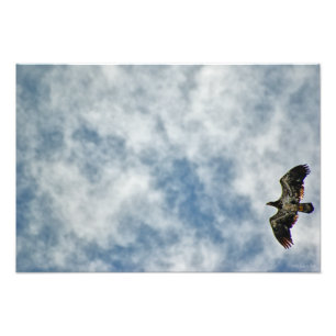 Zukünftige Möglichkeiten Fotodruck