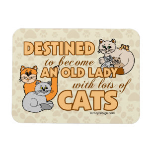 Zukünftige verrückte Katzen-Dame Funny Saying Magnet