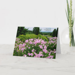 Zum Geburtstag - Garten mit Aussicht Karte