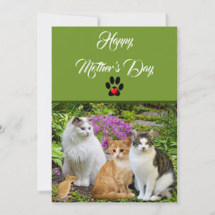Zum Glücklichen Muttertag von der Katze Flachkarte Einladung