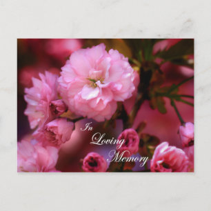 Zum liebevollen Gedenken Frühlingshafte rosa Kirsc Postkarte