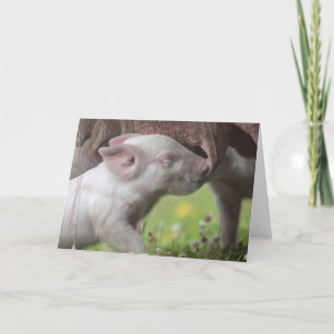 Zum Muttertag Krankenschwester Piglet Card Karte