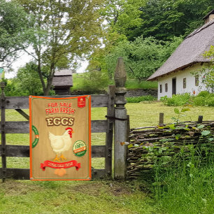 zum Verkauf von Bio frischen Eiern Banner