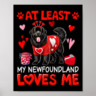 Zumindest liebt mein Neufundländer mich am Valenti Poster