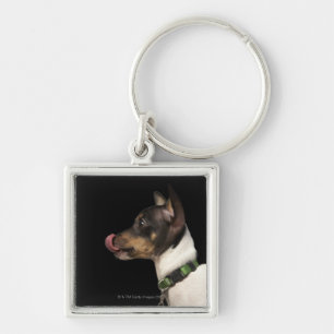 Zunge aus Schwarzweiss-Ratte Terrier heraus Schlüsselanhänger