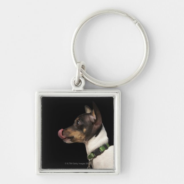 Zunge aus Schwarzweiss-Ratte Terrier heraus Schlüsselanhänger (Vorne)