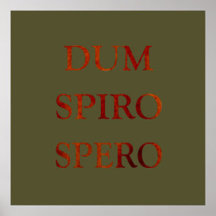 Zunge-Spiro Poster
