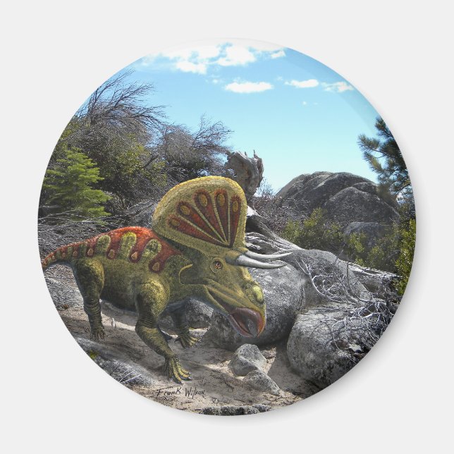 Zuniceratops Dinosaur Magnet (Vorne)