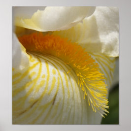 Zur Liebe von Iris Poster