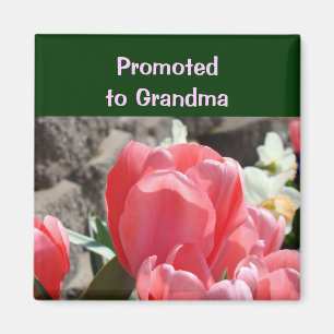 Zur Oma befördert Magnet Rosa Tulpen Blumen