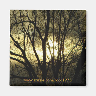 Zurück leuchtet magnet