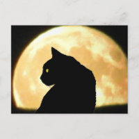 Zurück Schwarze Katze und Vollmond