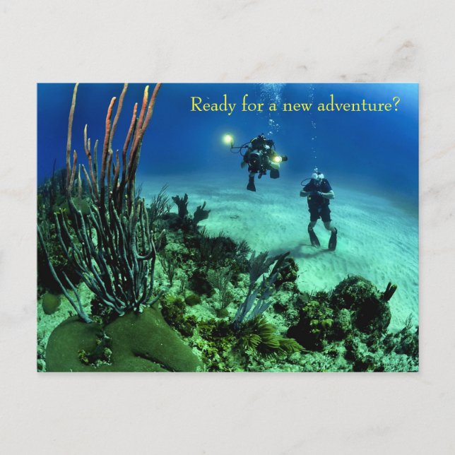 Zurück zu School Deep Sea Diving Adventure Postkarte (Vorderseite)