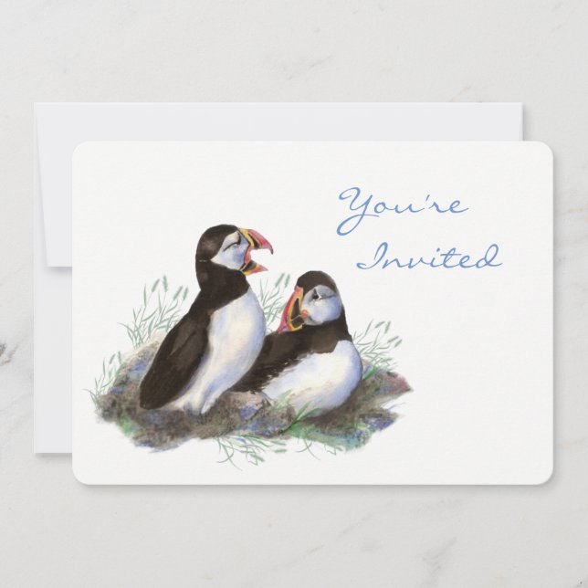 Zurück zur Nature Puffin Bird Birthday Party Einladung (Vorderseite)
