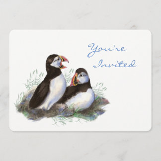 Zurück zur Nature Puffin Bird Birthday Party Einladung