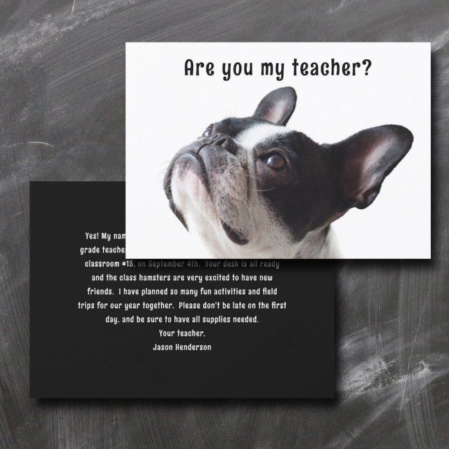 Zurück zur Schule Boston Terrier - Begrüßungskarte Einladung (Von Creator hochgeladen)