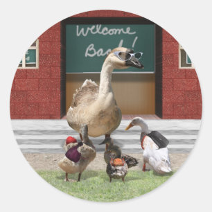 Zurück zur Schule, Kleine Enten! Runder Aufkleber