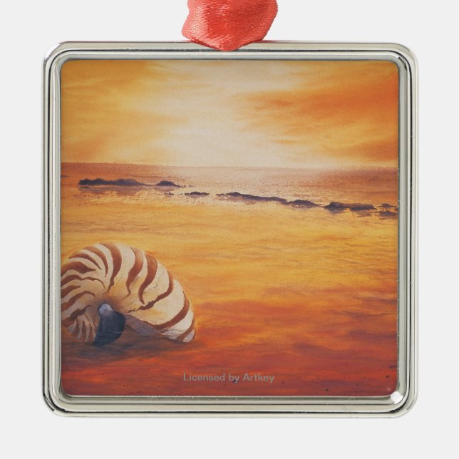 Zurückbleiben Silbernes Ornament (Vorne)