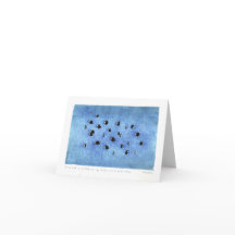 Zurückbleibendes Chromis