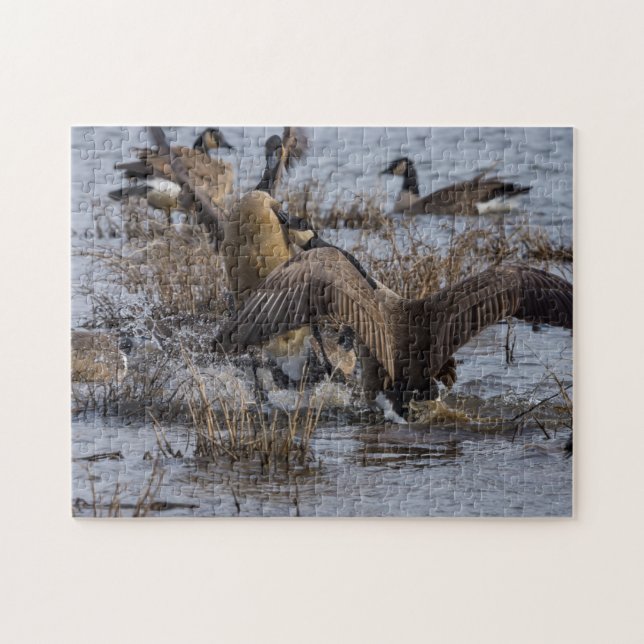 Zurücktreten (Horizontal)