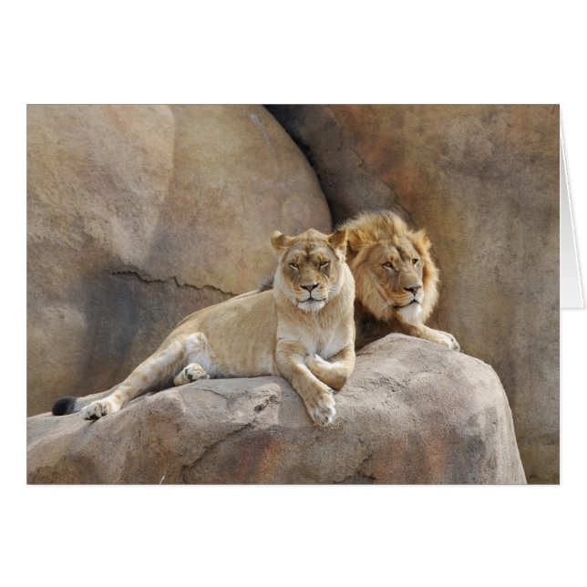 Zusammen (Vorderseite (Horizontal))