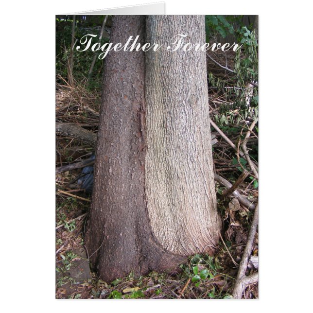 Zusammen Forever ~ Karte (Vorne)