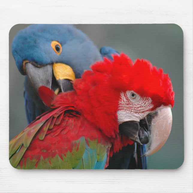 Zusammenarbeit Mousepad (Vorne)
