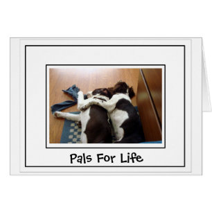 Zusammengehörigkeit