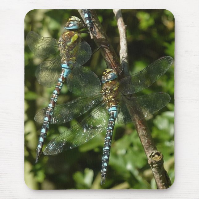 Zusammengehörigkeit! Mousepad (Vorne)