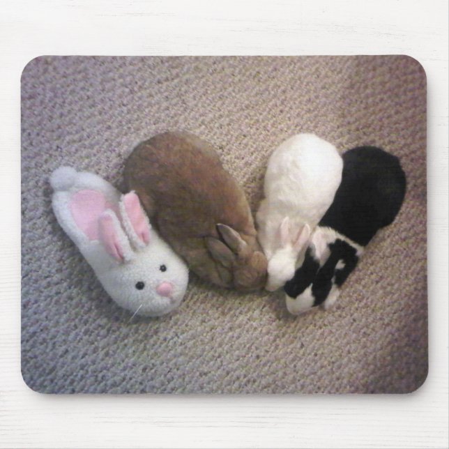 Zusammengehörigkeit Mousepad (Vorne)