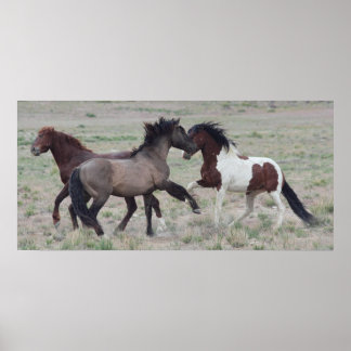 Zusammenkommen Poster