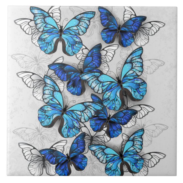 Zusammensetzung der weißen und blauen Schmetterlin Fliese (Vorderseite)
