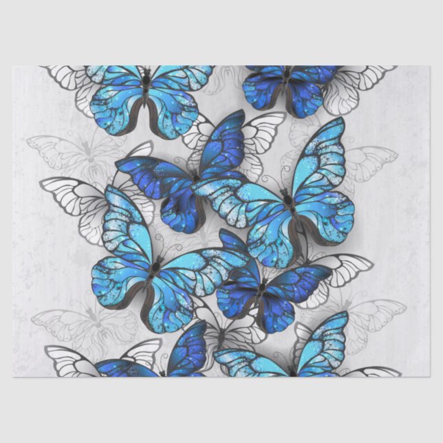 Zusammensetzung der weißen und blauen Schmetterlin Seidenpapier (Vorderseite)