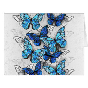 Zusammensetzung von White und Blue Butterflies
