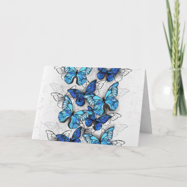 Zusammensetzung von White und Blue Butterflies (Vorderseite)