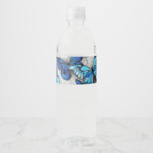 Zusammensetzung von White und Blue Butterflies