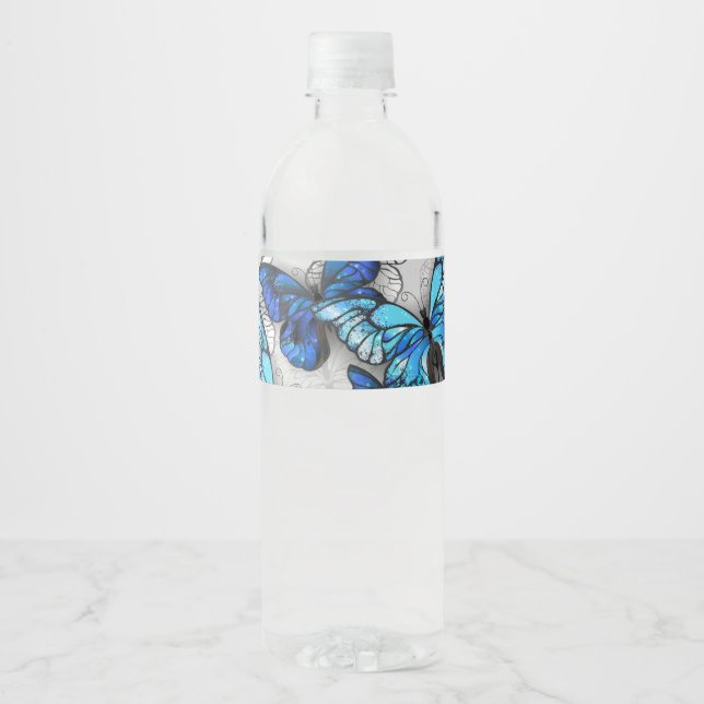 Zusammensetzung von White und Blue Butterflies (Vorderseite)