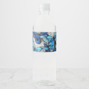 Zusammensetzung von White und Blue Butterflies